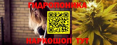 ALPHA PVP Кимры