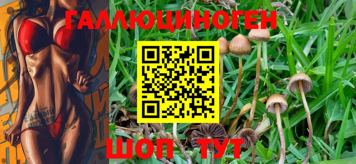 Галлюциногенные грибы Magic Shrooms  Вход с VPN  хочу наркоту  Кувандык  Галлюциногенные грибы Magic Shrooms 